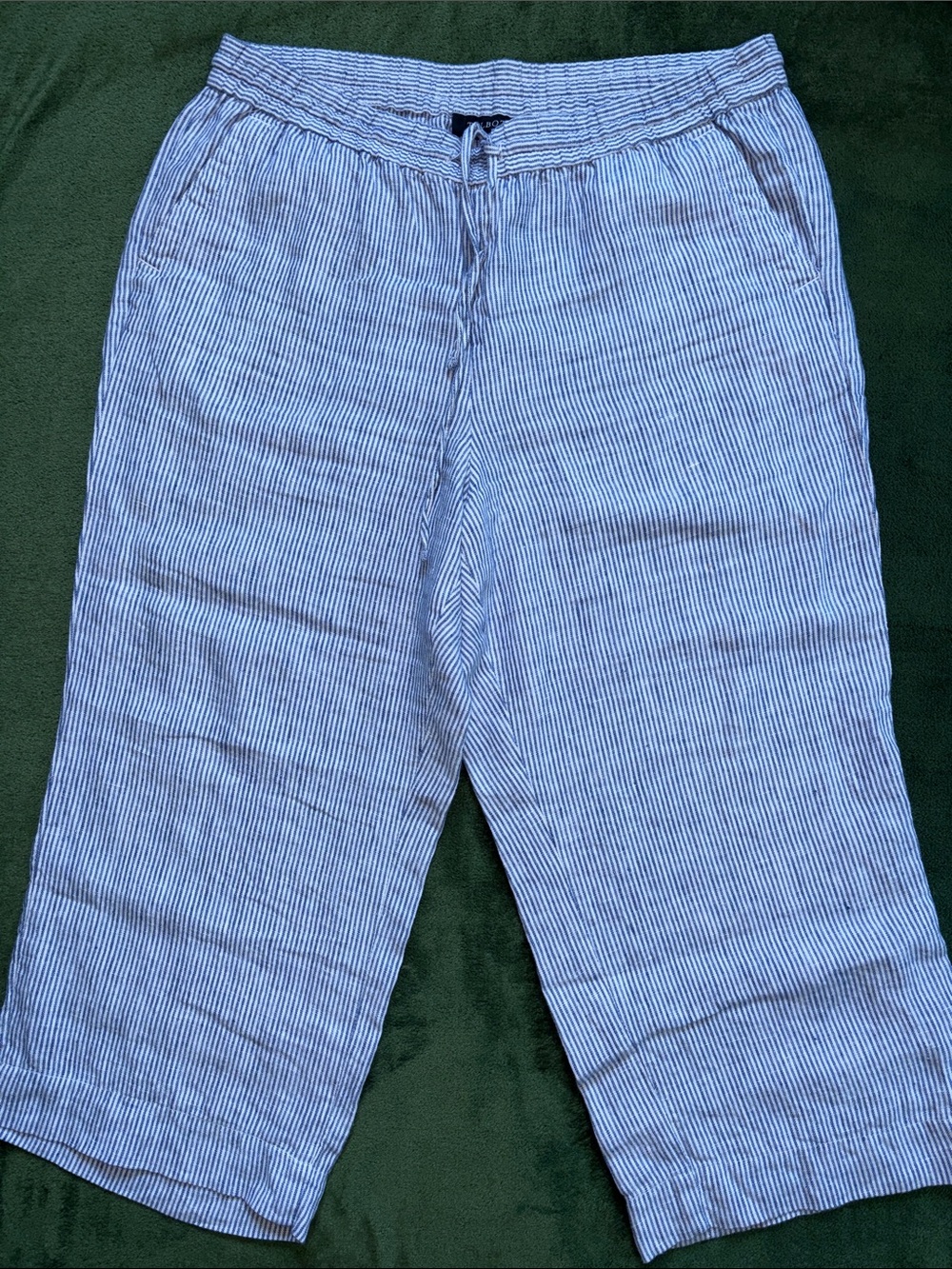 Talbots Blue and White Striped Drawstring Pants
